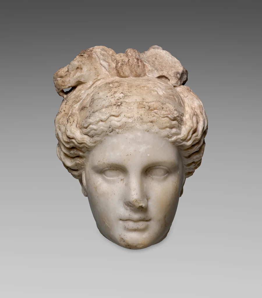 The museum photograph of a Roman marble head of Aphrodite