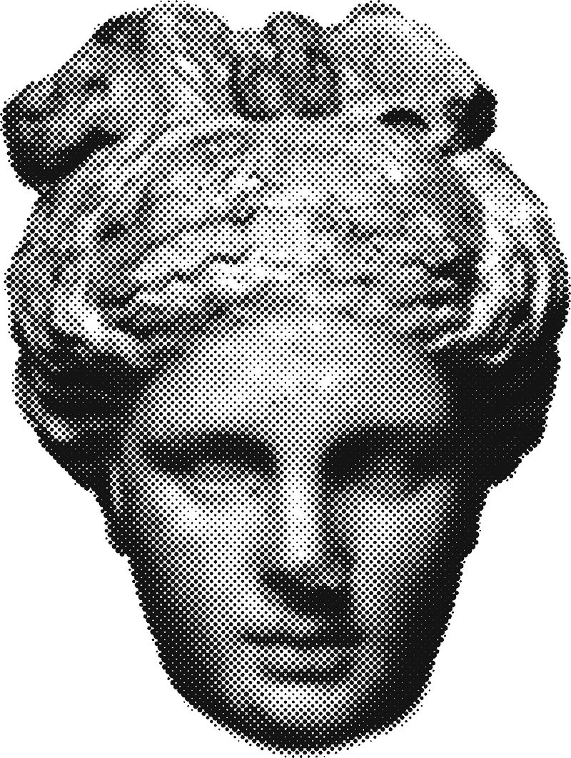The same head rebuilt in halftone dots