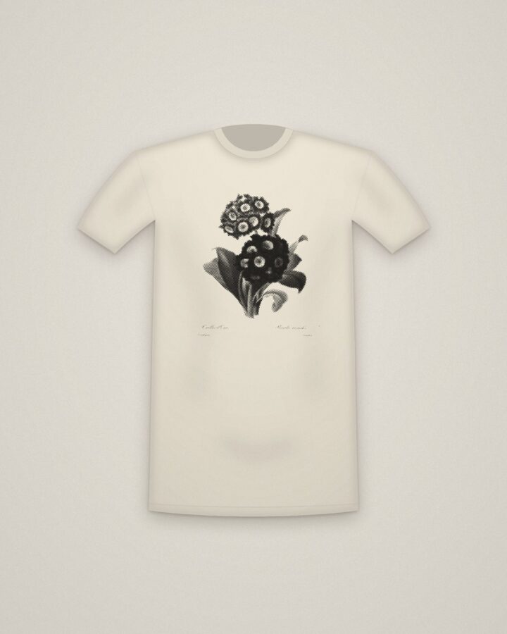 Auricula Tee in Natural, Primula auricula printed in halftone