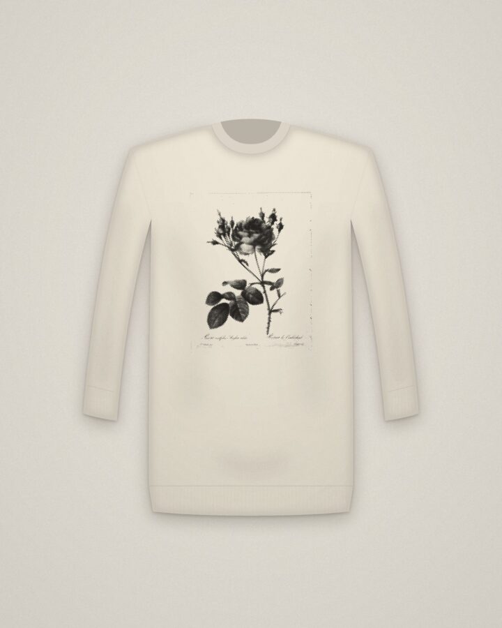 Cabbage Rose Crewneck in Natural, Rosa centifolia anglica rubra, from Les Roses printed in halftone