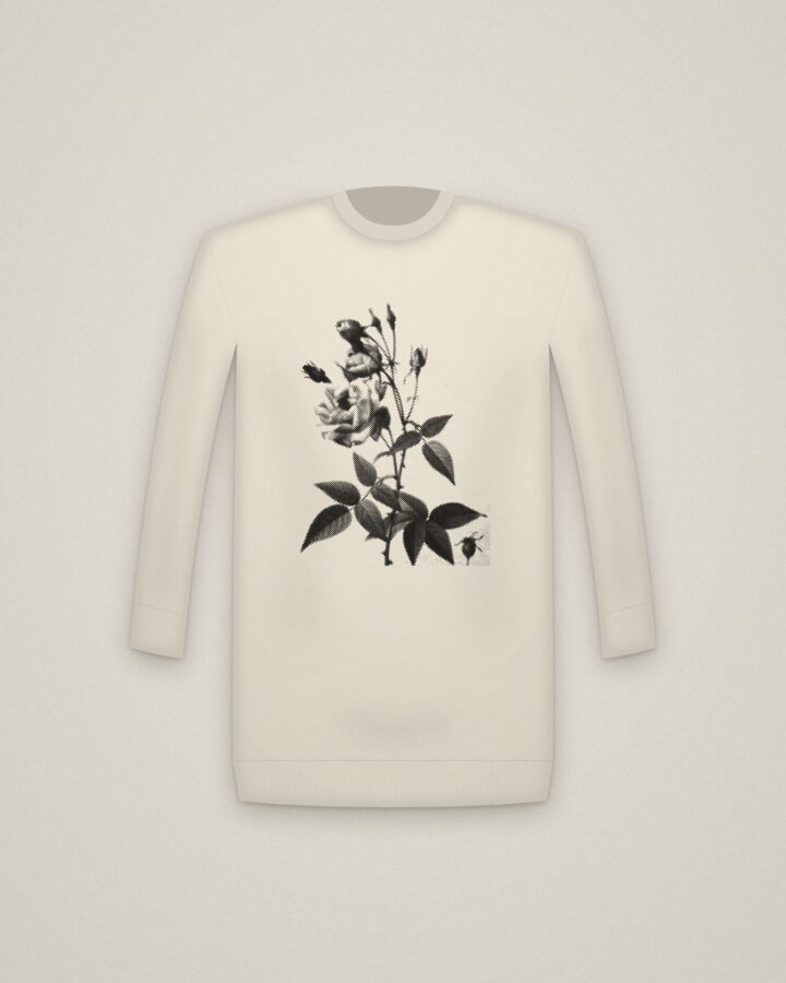 China Rose Crewneck in Natural, The Roses: China or Bengal Rose printed in halftone