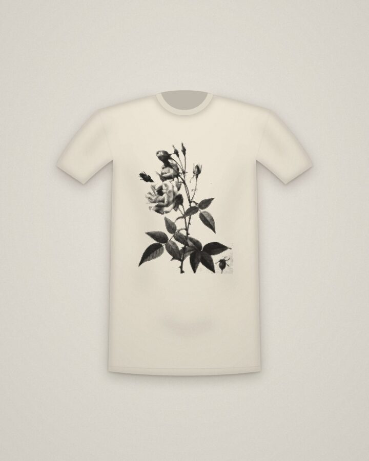 China Rose Tee in Natural, The Roses: China or Bengal Rose printed in halftone