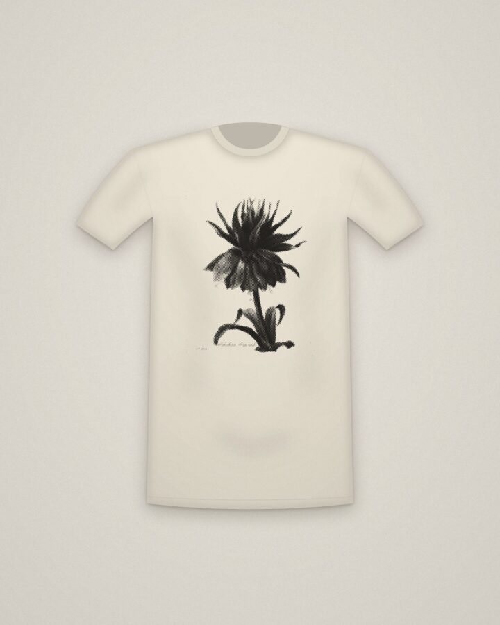 Crown Imperial Tee in Natural, Crown Imperial Fritillary printed in halftone