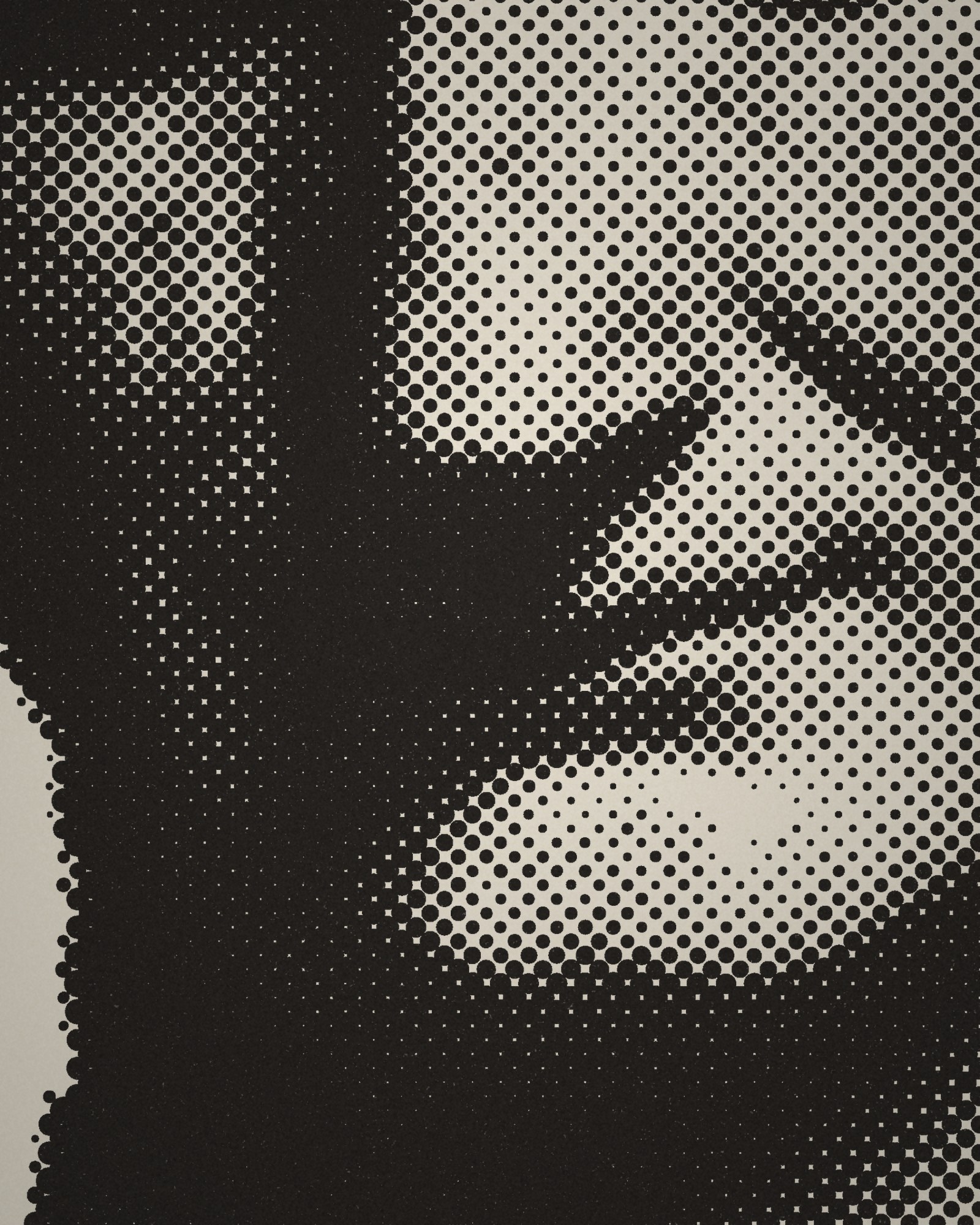 Close-up of the halftone dots of Portrait Head of Emperor Vespasian, Recut from Head of Nero printed in cotton
