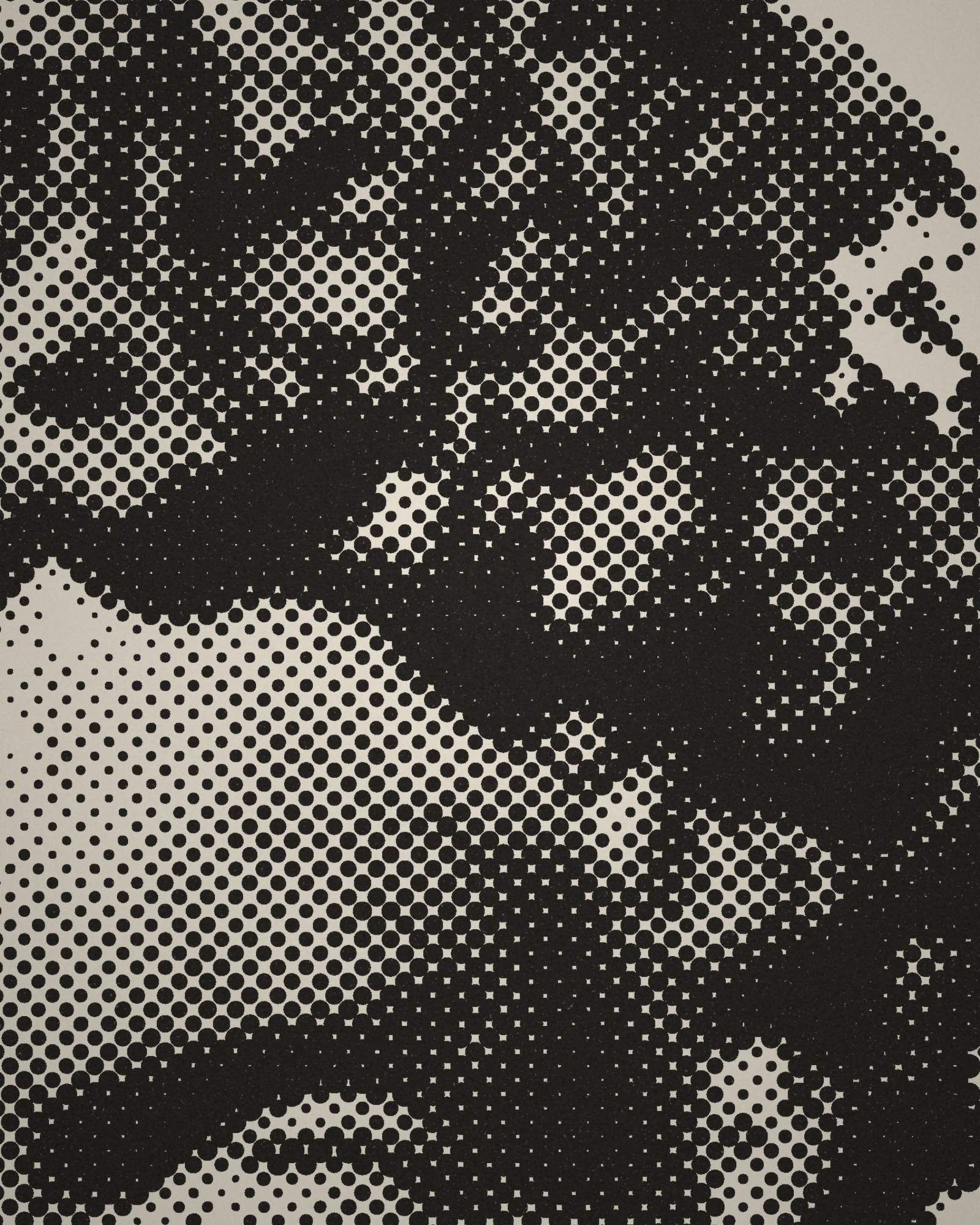 Close-up of the halftone dots of Portrait Head of a Noble or Official printed in cotton