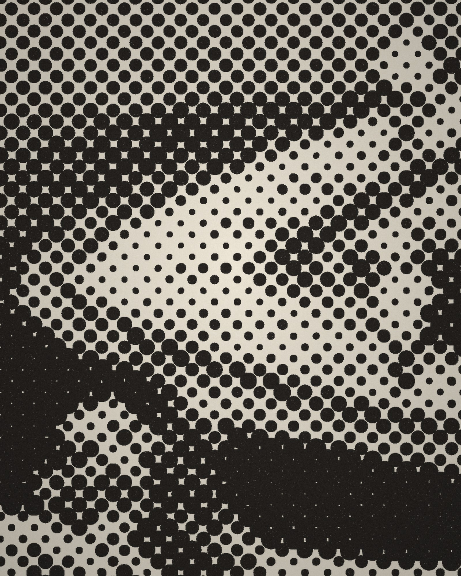 Close-up of the halftone dots of An Ancient Picture of the Boat Bridge at Sano, from Remarkable Views of Bridges printed in cotton