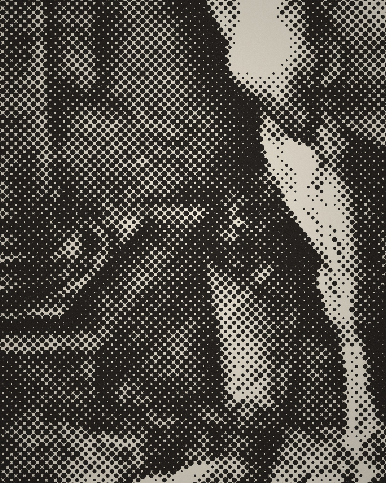 Close-up of the halftone dots of The Large Horse printed in cotton