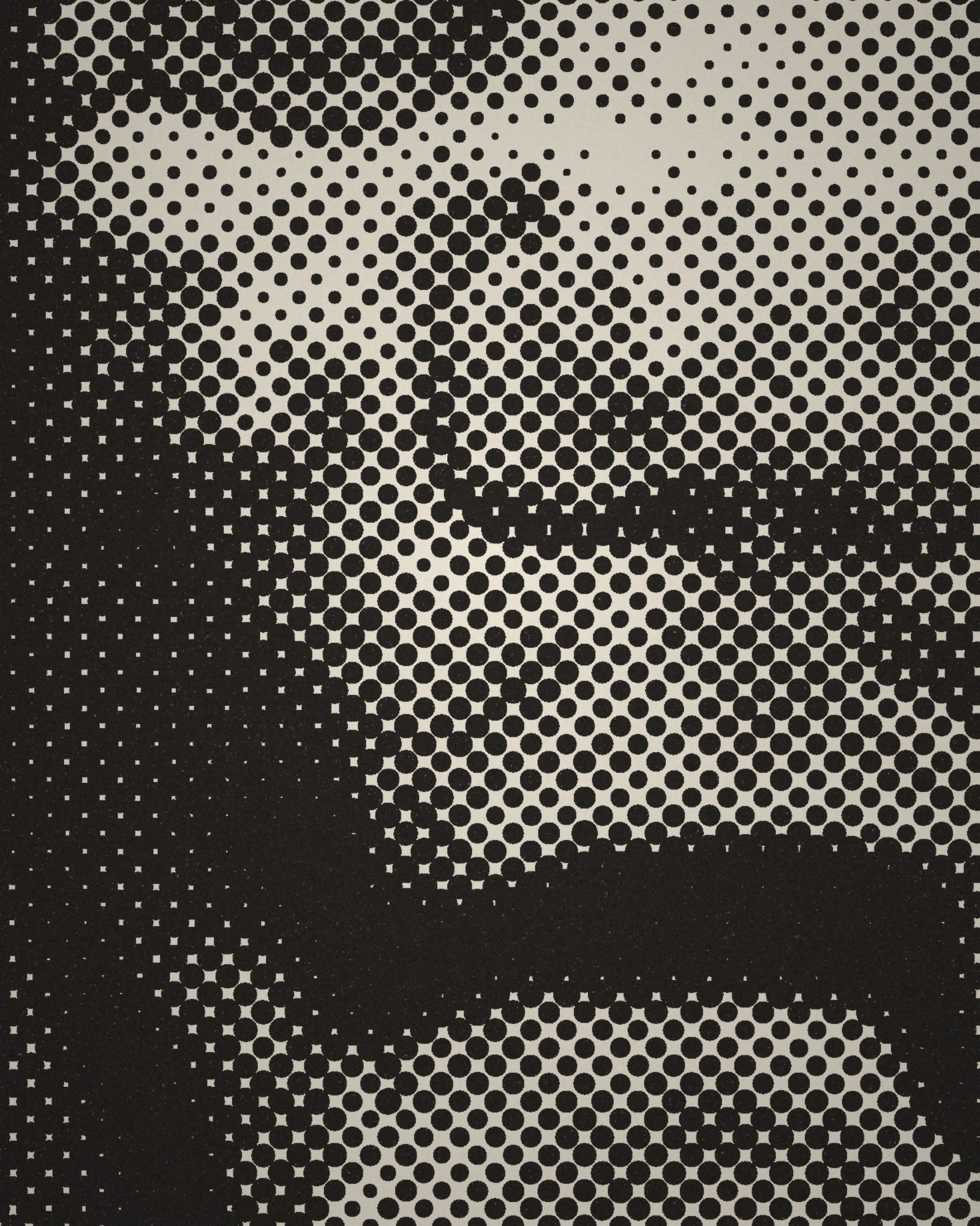 Close-up of the halftone dots of Lion's Head printed in cotton