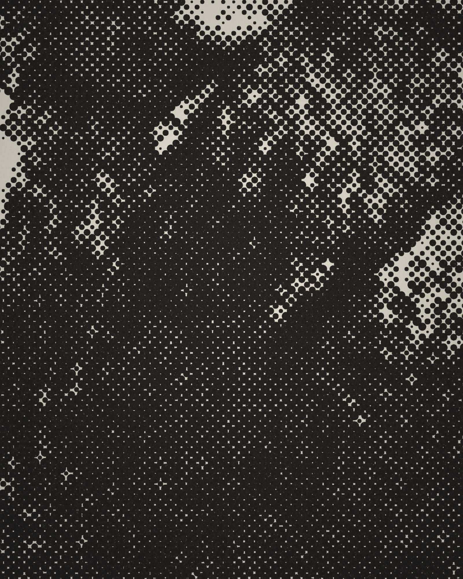 Close-up of the halftone dots of Self-Portrait Frowning: Bust printed in cotton