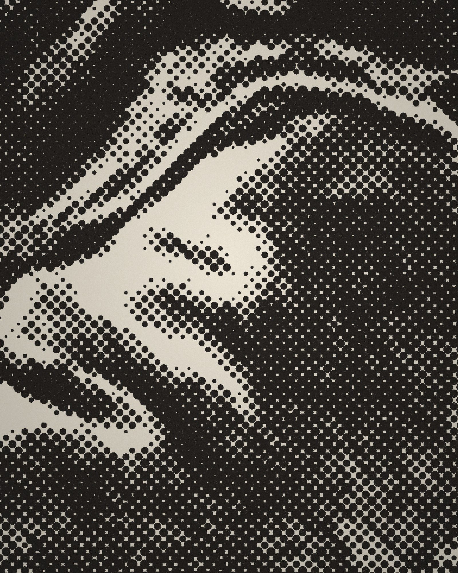 Close-up of the halftone dots of Rembrandt and His Wife Saskia printed in cotton