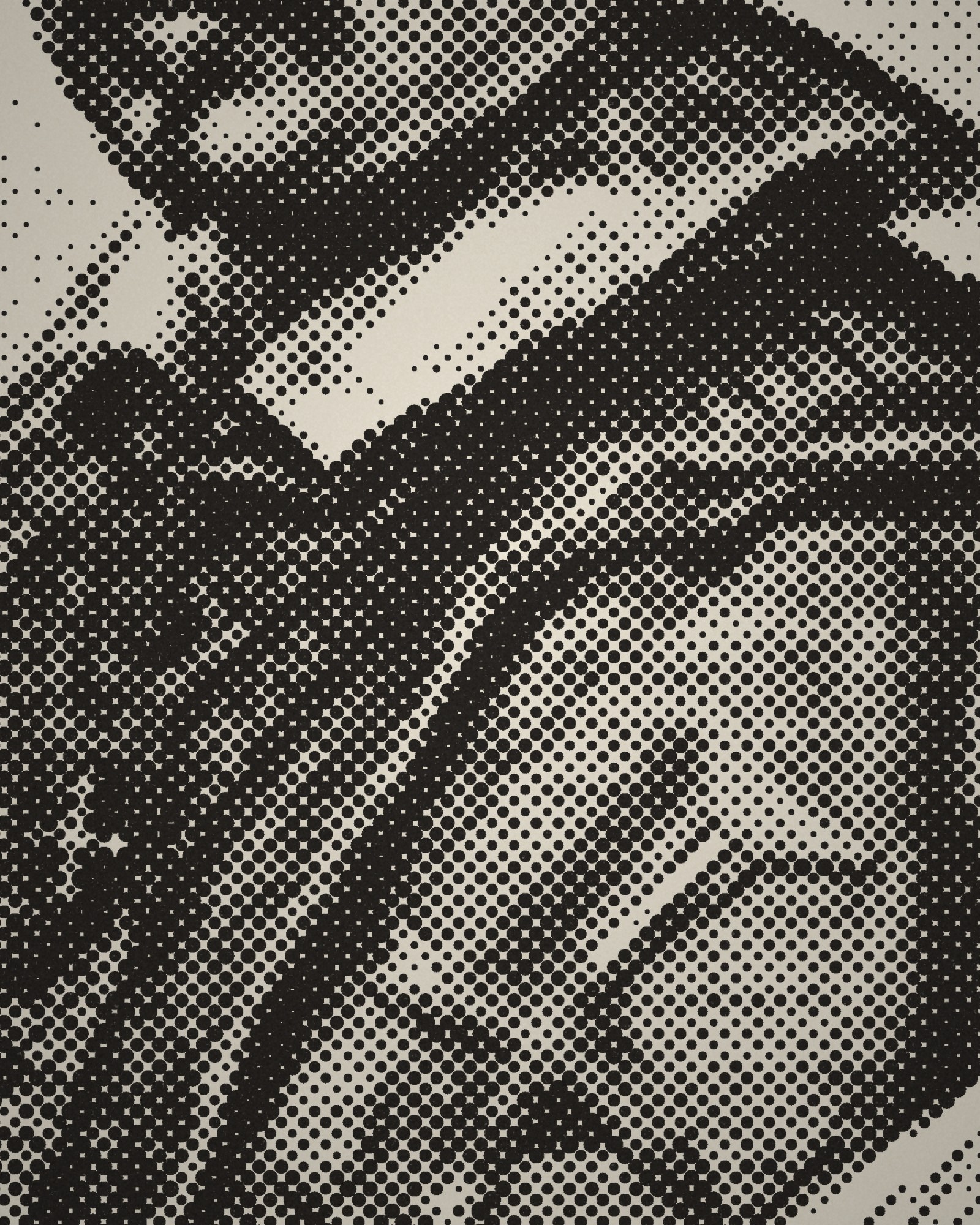 Close-up of the halftone dots of Self-Portrait printed in cotton