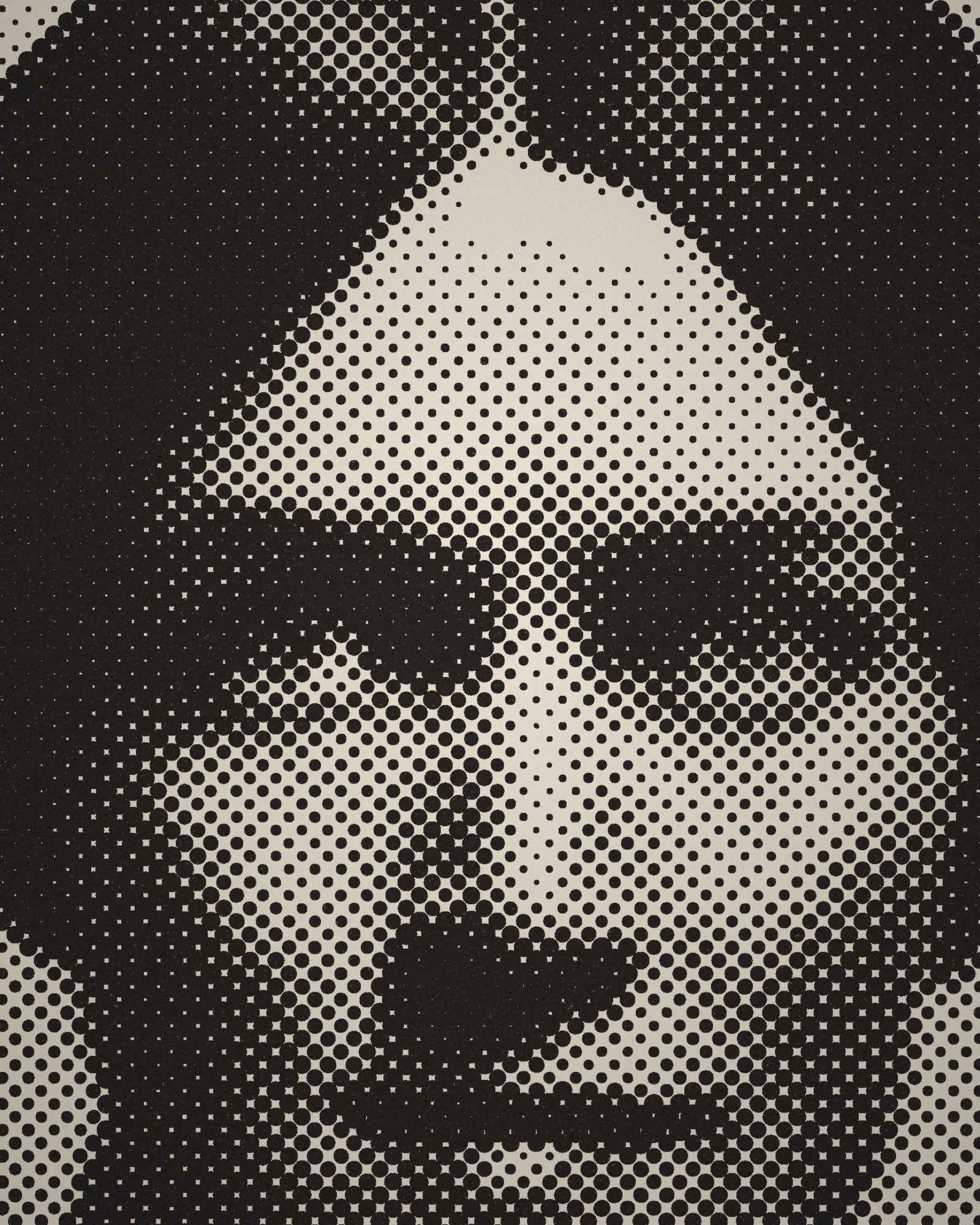 Close-up of the halftone dots of Portrait of Honoré Willsie Morrow printed in cotton