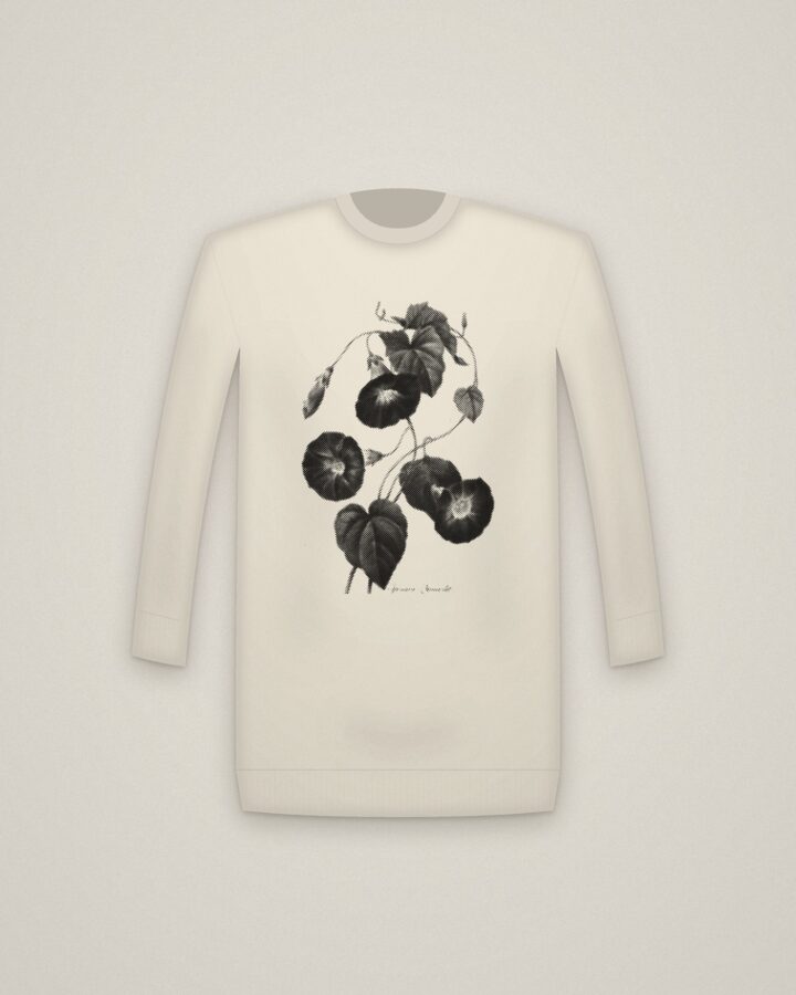 Morning Glory Crewneck in Natural, Star-glory Morning-glory printed in halftone