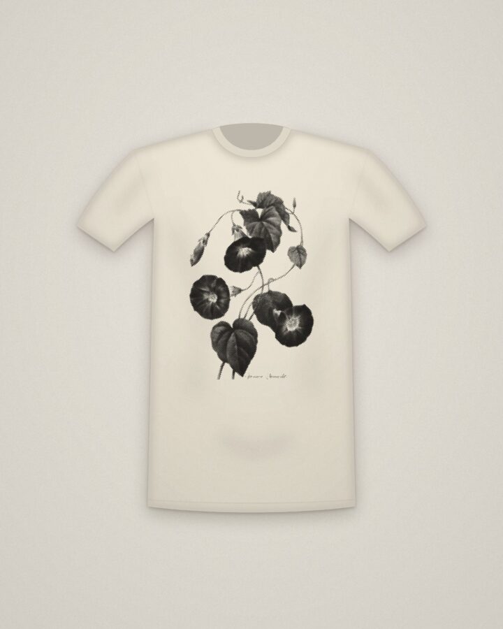 Morning Glory Tee in Natural, Star-glory Morning-glory printed in halftone