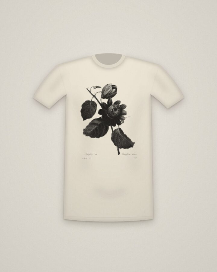 Passion Flower Tee in Natural, Passiflore ailée, from Choix des plus belles fleurs printed in halftone