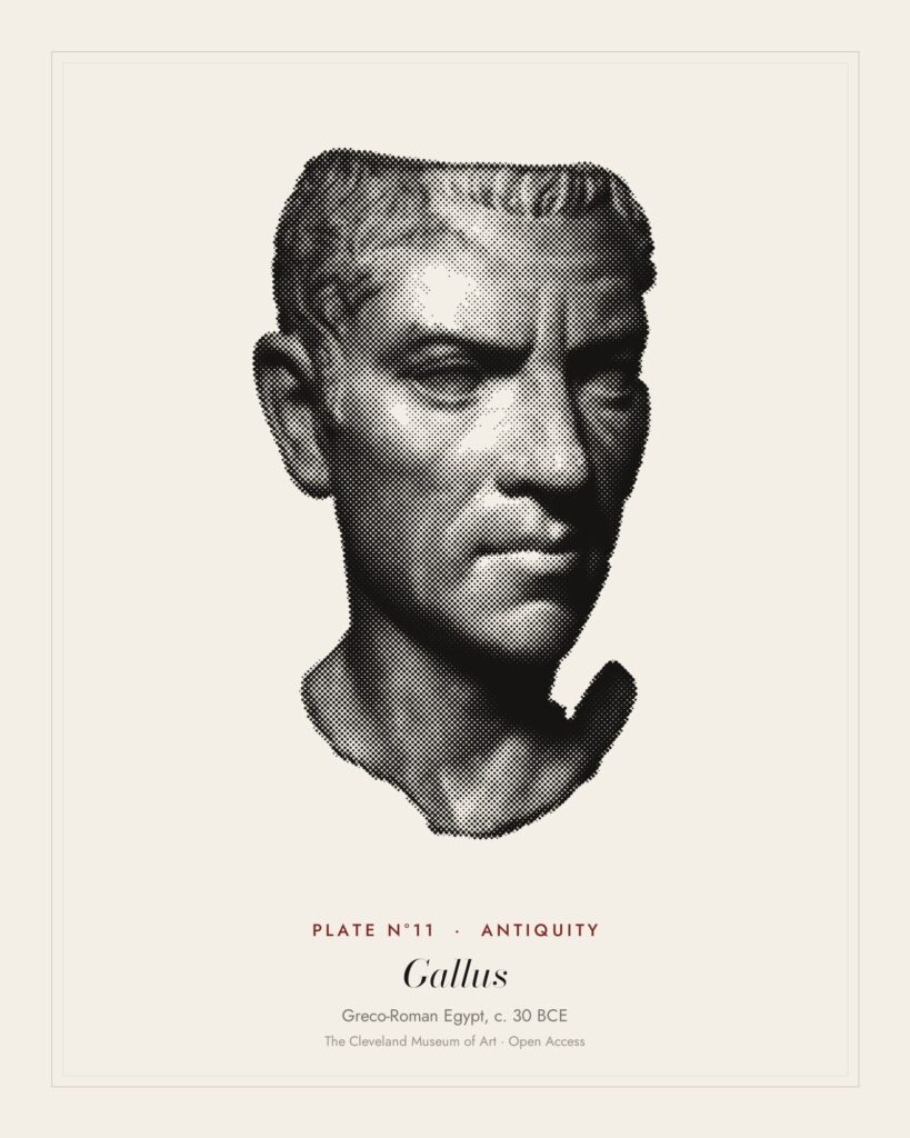 Plate N°11: Portrait Head of C. Cornelius Gallus (?), Greco-Roman Egypt, c. 30 BCE