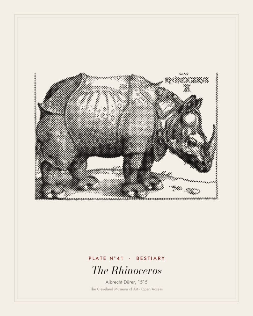 Plate N°41: The Rhinoceros, Albrecht Dürer, 1515