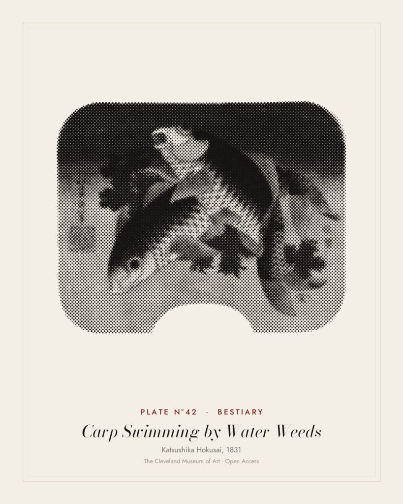 Plate N°42: Carp Swimming by Water Weeds, Katsushika Hokusai, 1831