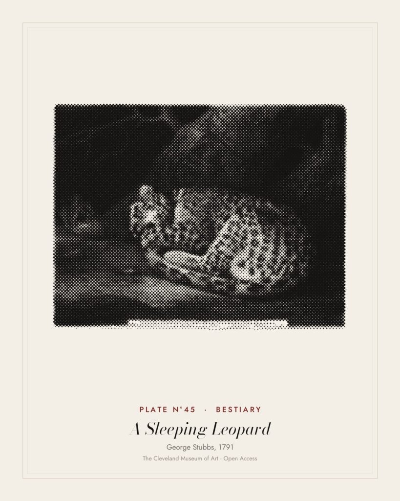 Plate N°45: A Sleeping Leopard, George Stubbs, 1791