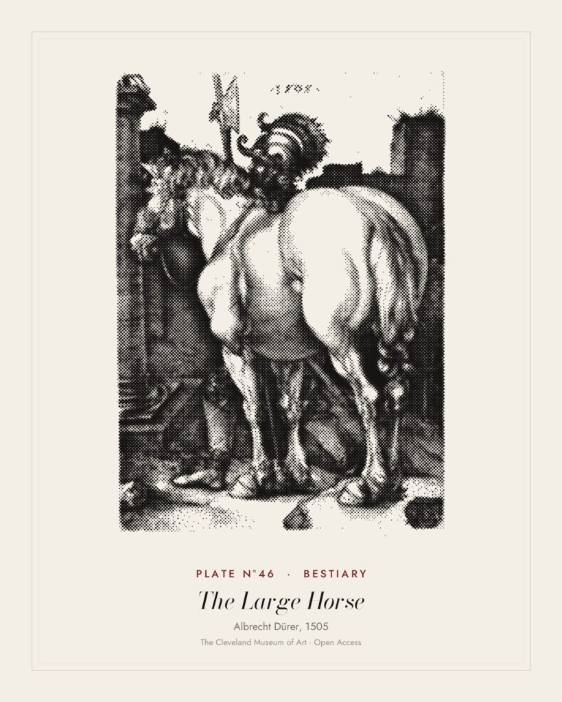Plate N°46: The Large Horse, Albrecht Dürer, 1505
