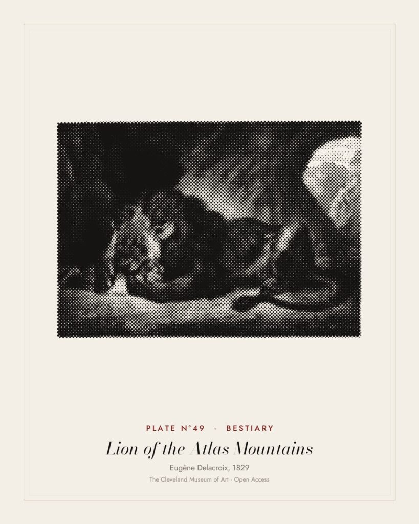 Plate N°49: Lion of the Atlas Mountains, Eugène Delacroix, 1829