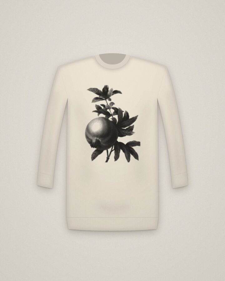 Pomegranate Crewneck in Natural, Grenade, from Choix des plus belles fleurs printed in halftone