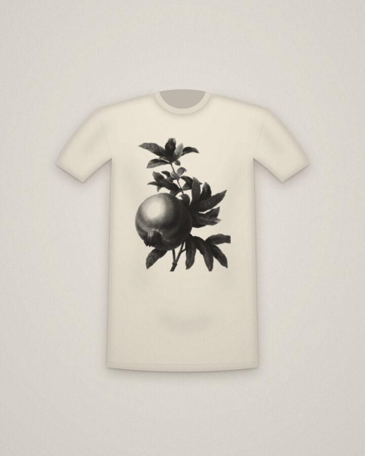 Pomegranate Tee in Natural, Grenade, from Choix des plus belles fleurs printed in halftone