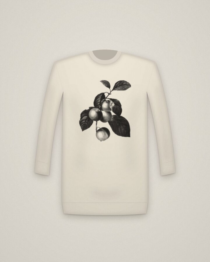 Reine Claude Crewneck in Natural, Reine Claude Plum printed in halftone