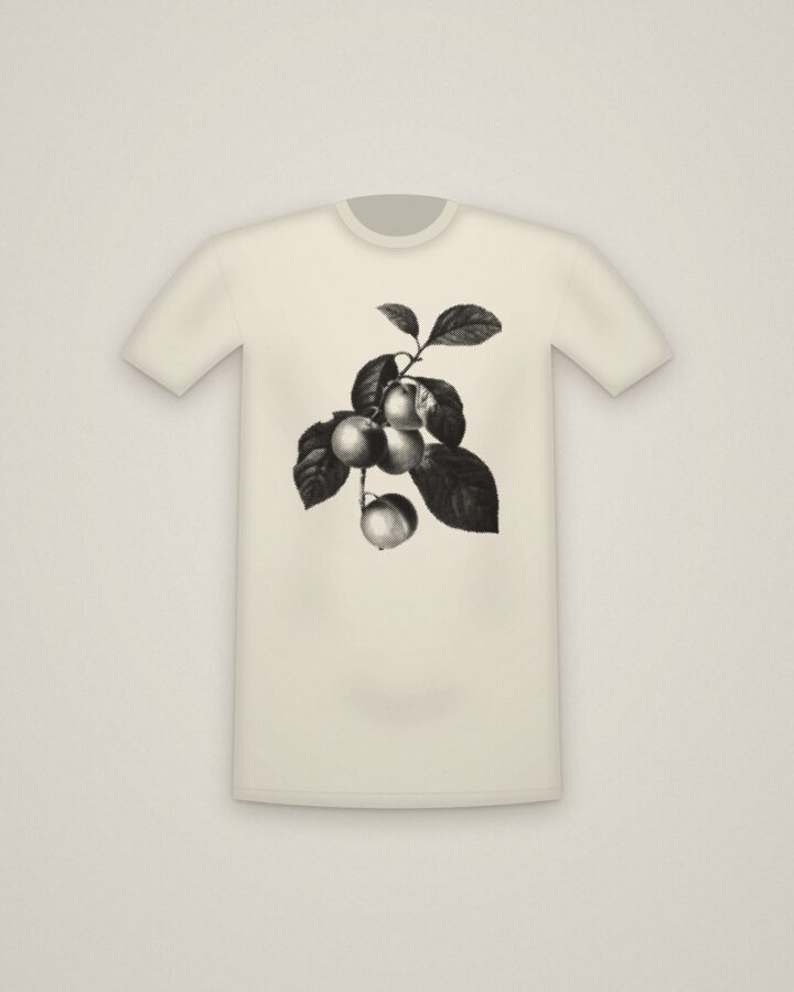 Reine Claude Tee in Natural, Reine Claude Plum printed in halftone