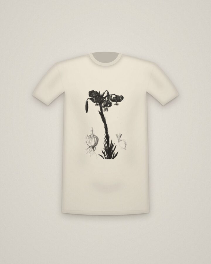 Turban Lily Tee in Natural, Lilium pomponium (Turban Lily), plate 7 from Les Liliacées printed in halftone